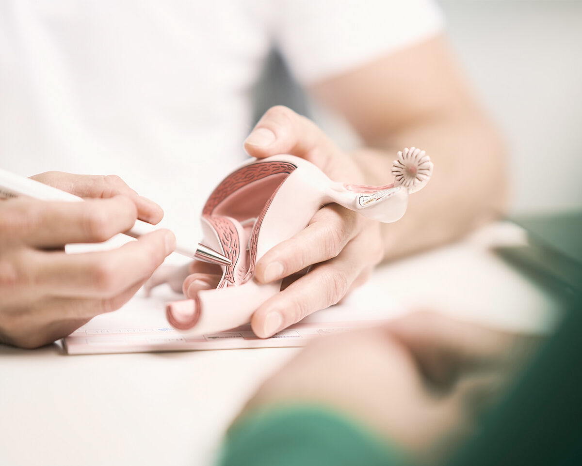 Frauenarzt Dr. Franz Roithmeier Wien